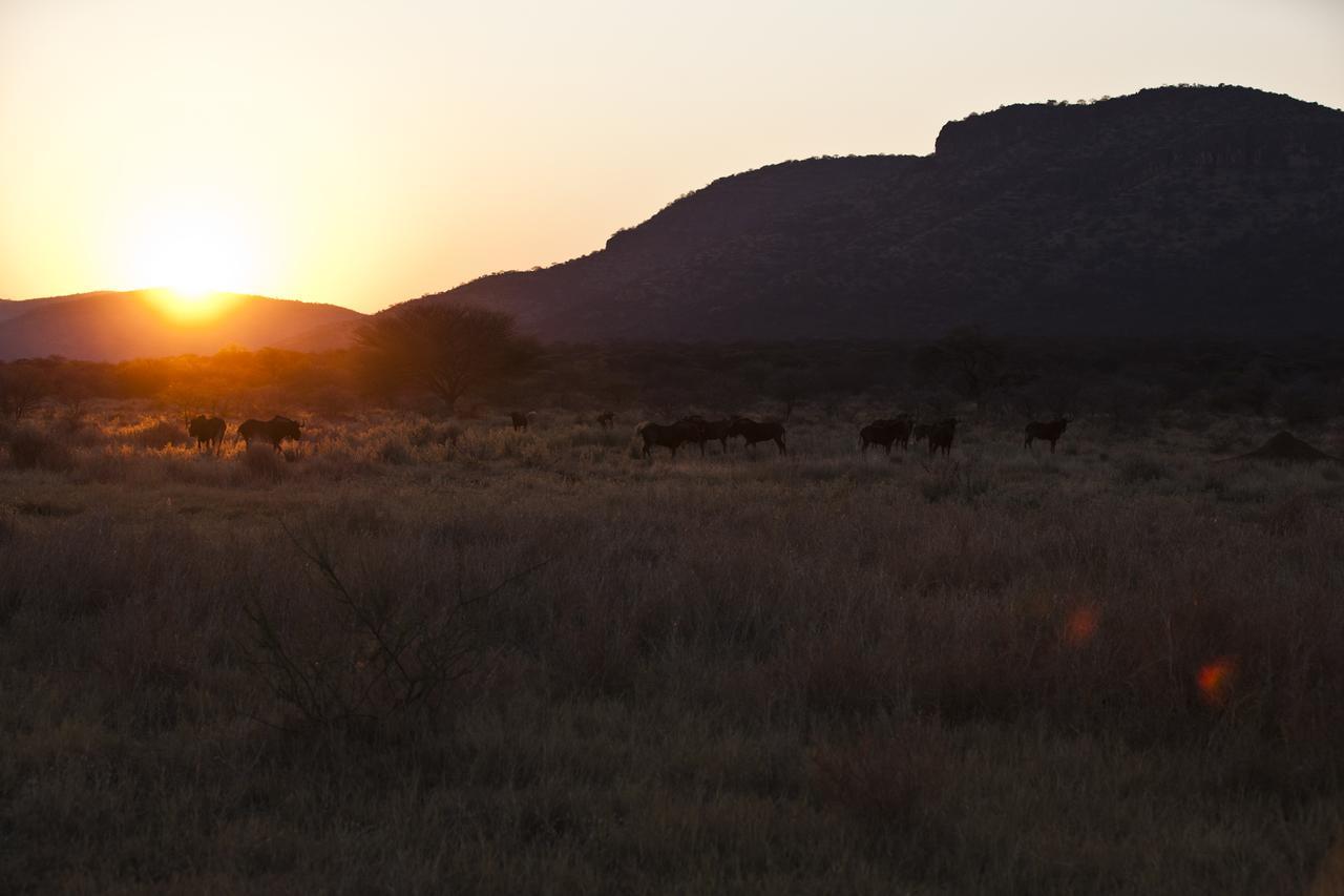 Gabus Game Ranch Villa Otavi Luaran gambar