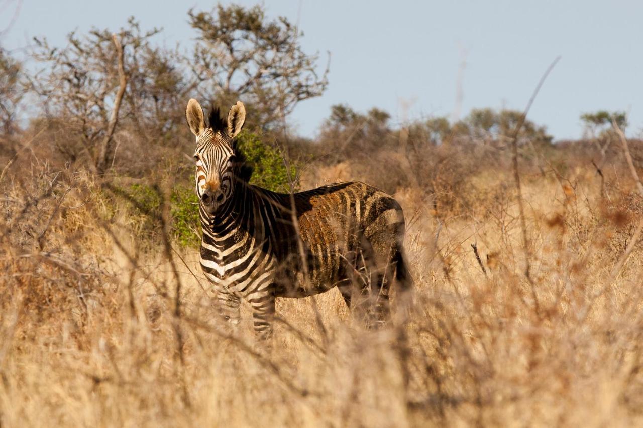 Gabus Game Ranch Villa Otavi Luaran gambar