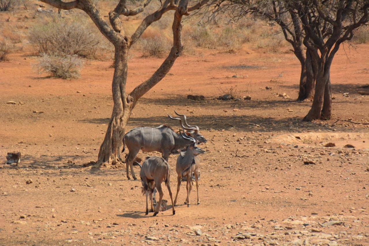 Gabus Game Ranch Villa Otavi Luaran gambar