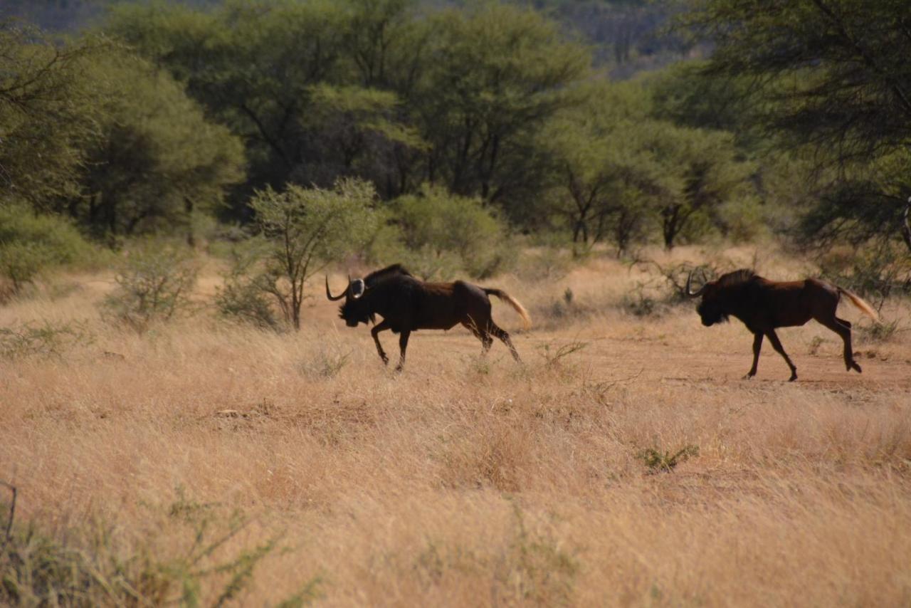 Gabus Game Ranch Villa Otavi Luaran gambar