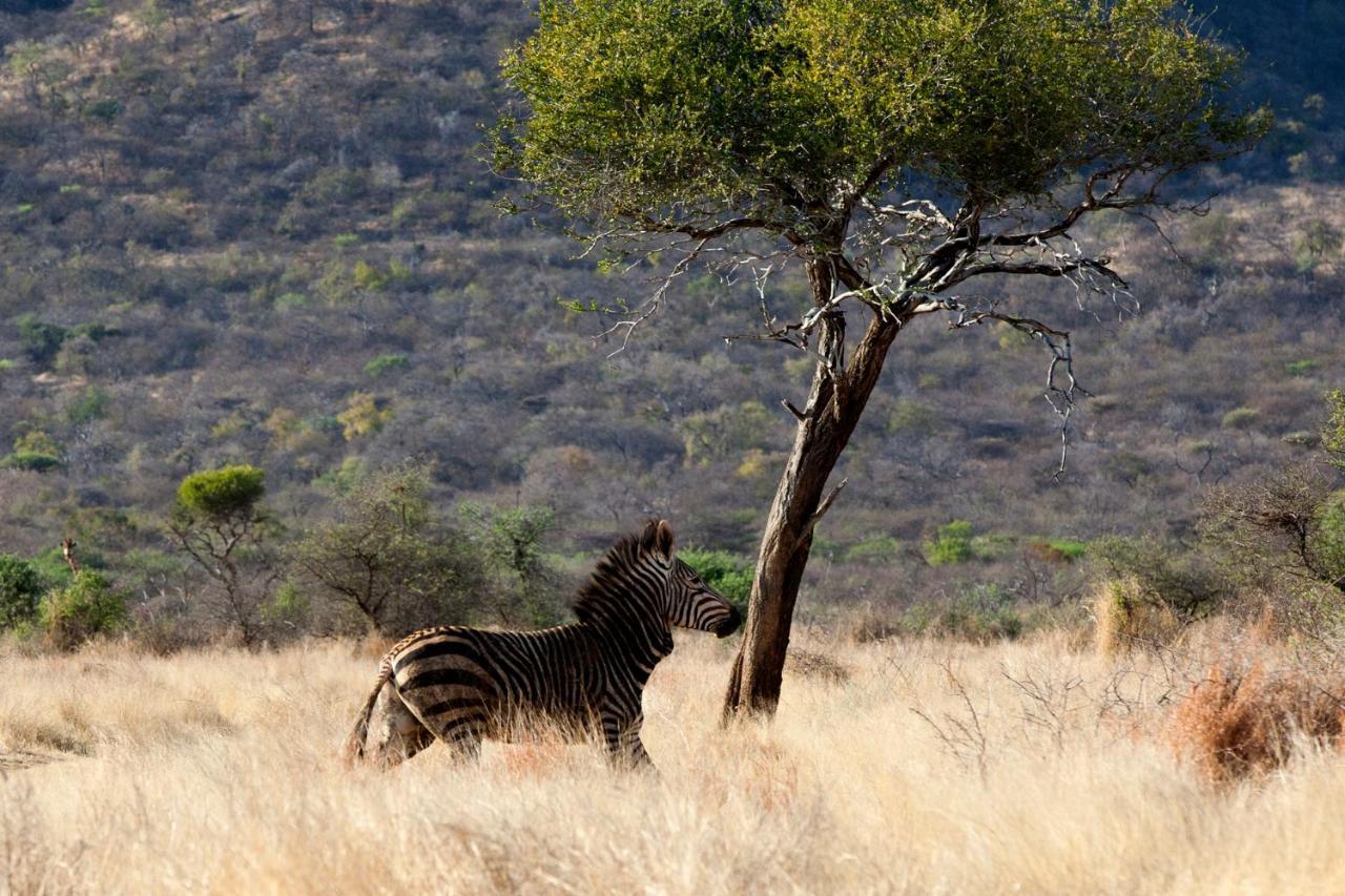 Gabus Game Ranch Villa Otavi Luaran gambar