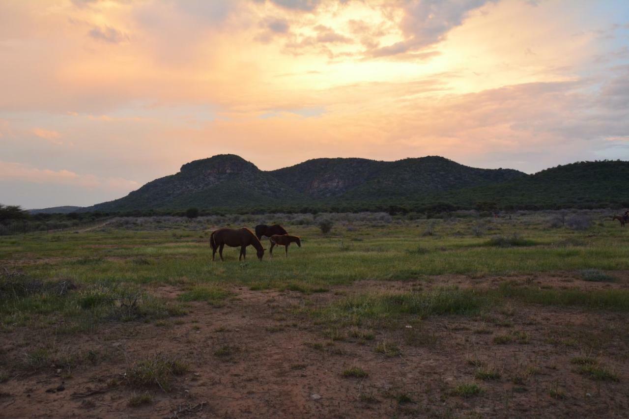 Gabus Game Ranch Villa Otavi Luaran gambar