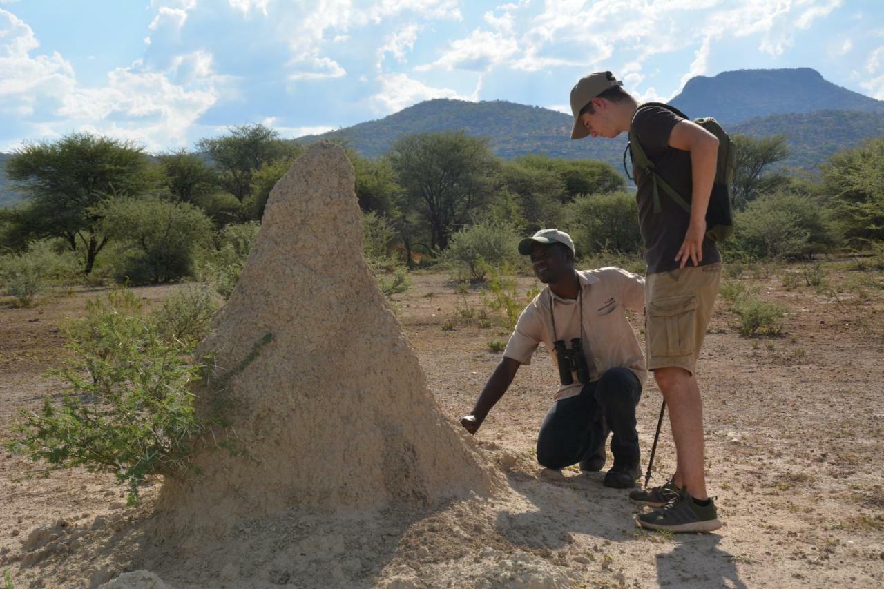 Gabus Game Ranch Villa Otavi Luaran gambar