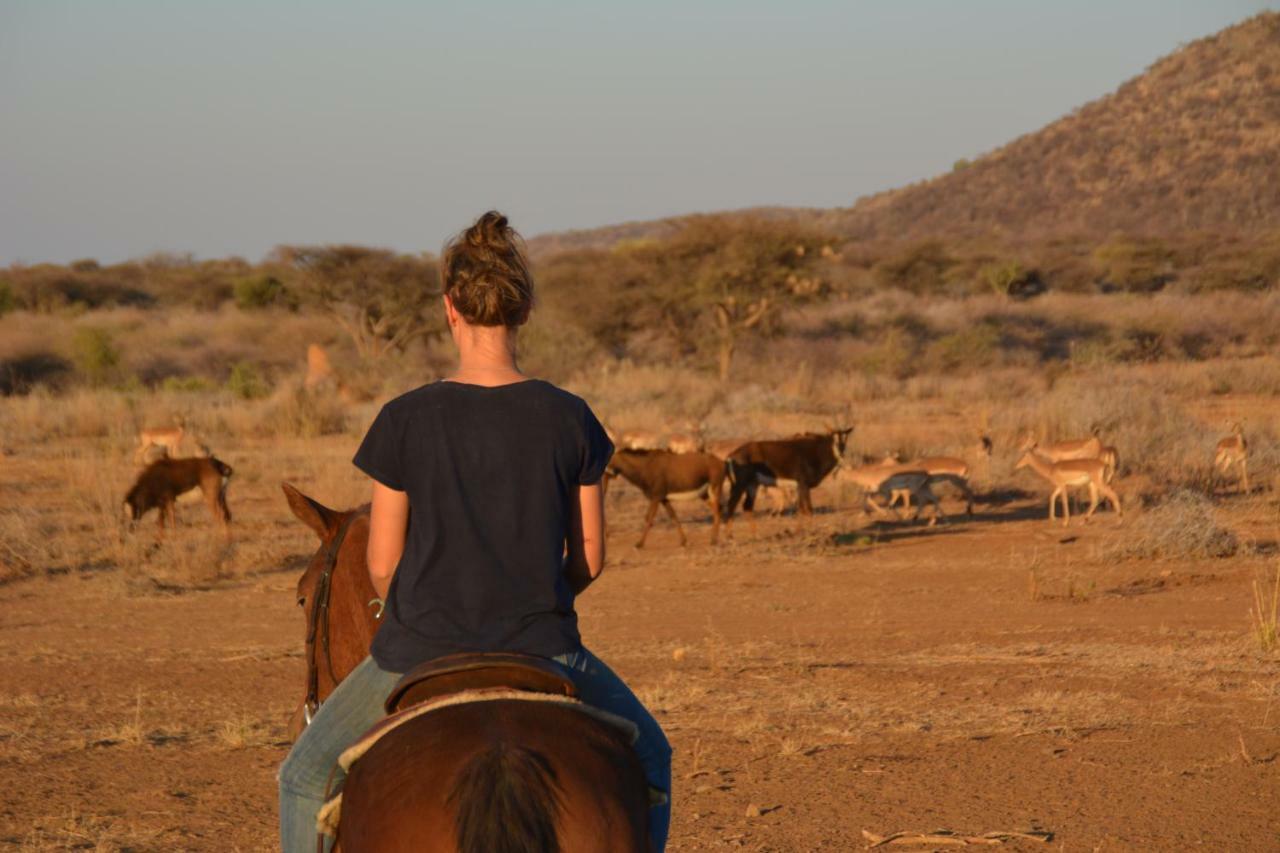 Gabus Game Ranch Villa Otavi Luaran gambar